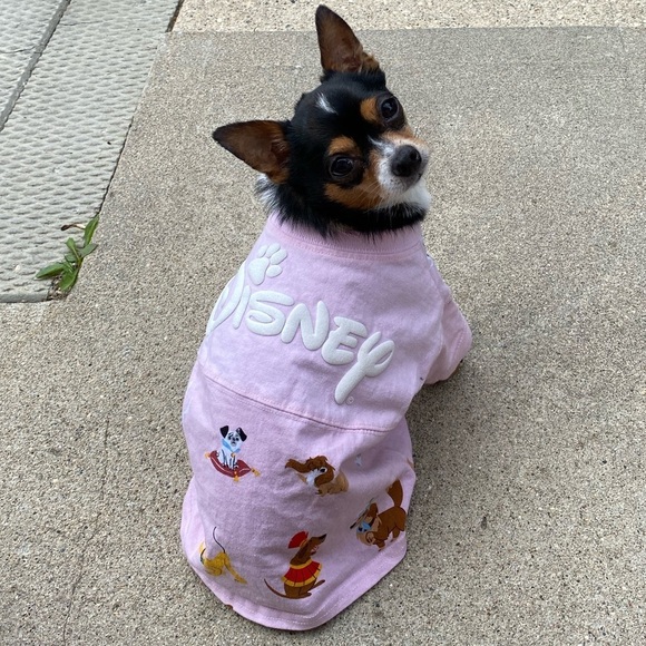 Silent 🤫 Show Notification 💕​ - Picture 3 of 15